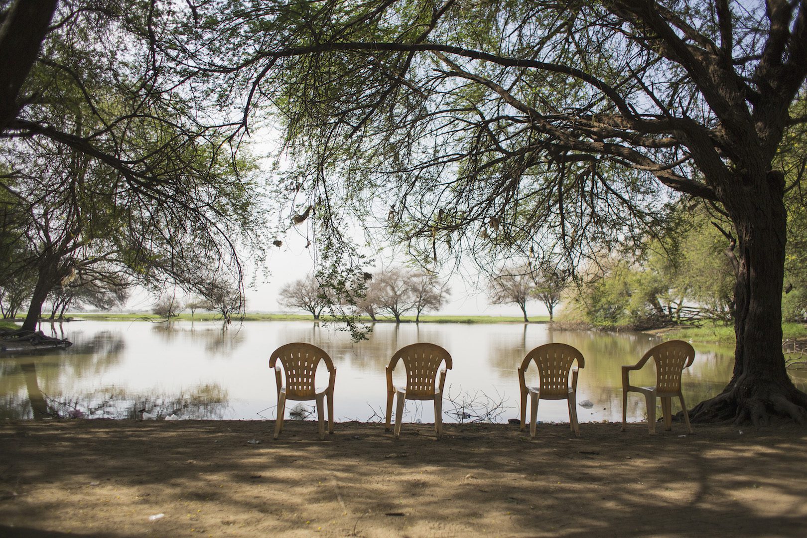 Ala Kheir, The Meeting Room, from Along the Nile series, 2016. Photo. Courtesy of the artist
