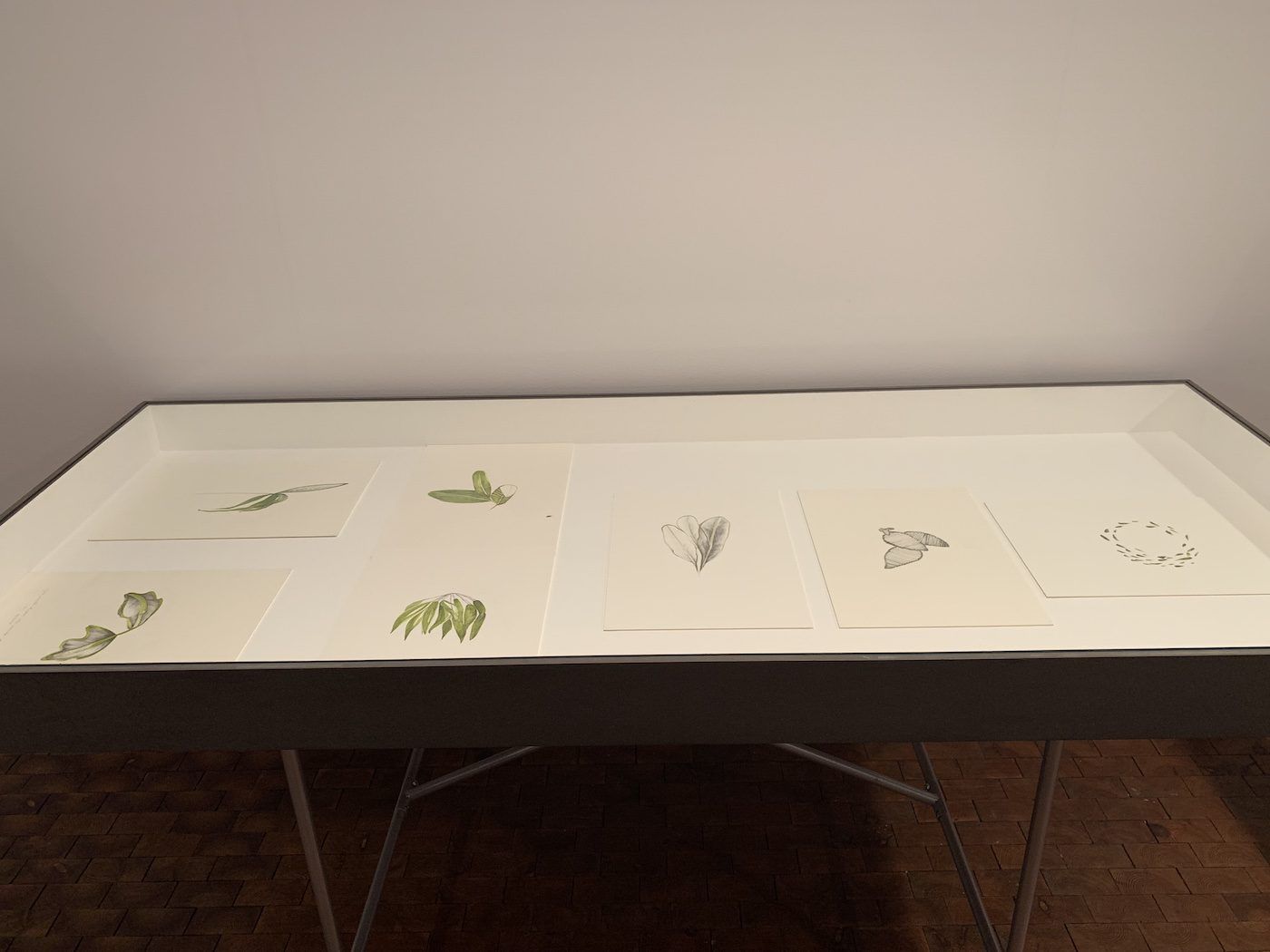 Temitayo Ogunbiyi, You will order taxonomies according to your day, 2021-2022. Installation View at 12th Berlin Biennale, Akademie der Künste, Hanseatenweg. Photo: C&amp;