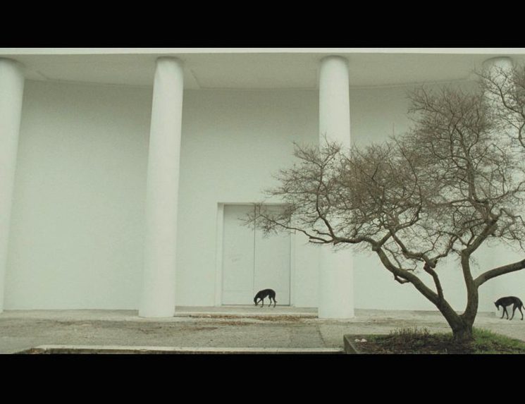 “We have to test the premise that nations no longer matter.” - Contemporary And