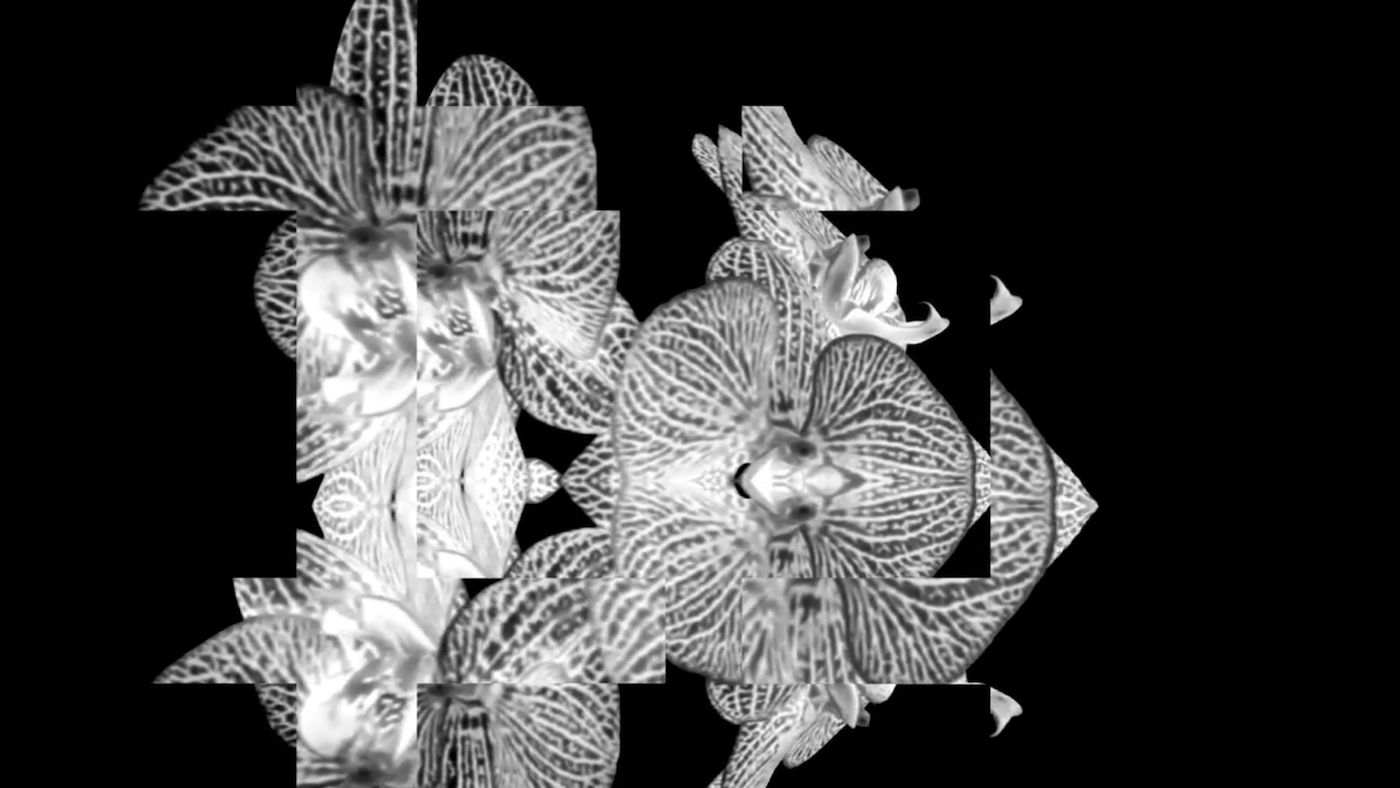 Every Straw Is a Straw Too Much - Contemporary And