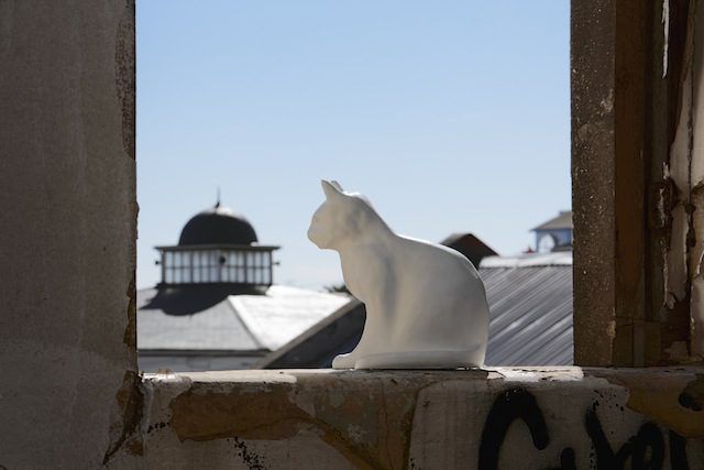 89plus in South Africa - Contemporary And