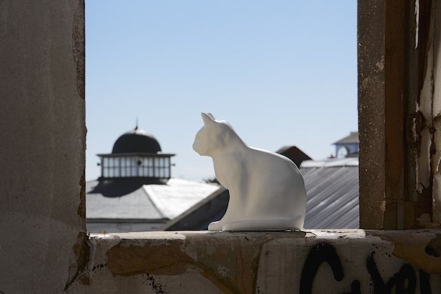 89plus in South Africa - Contemporary And