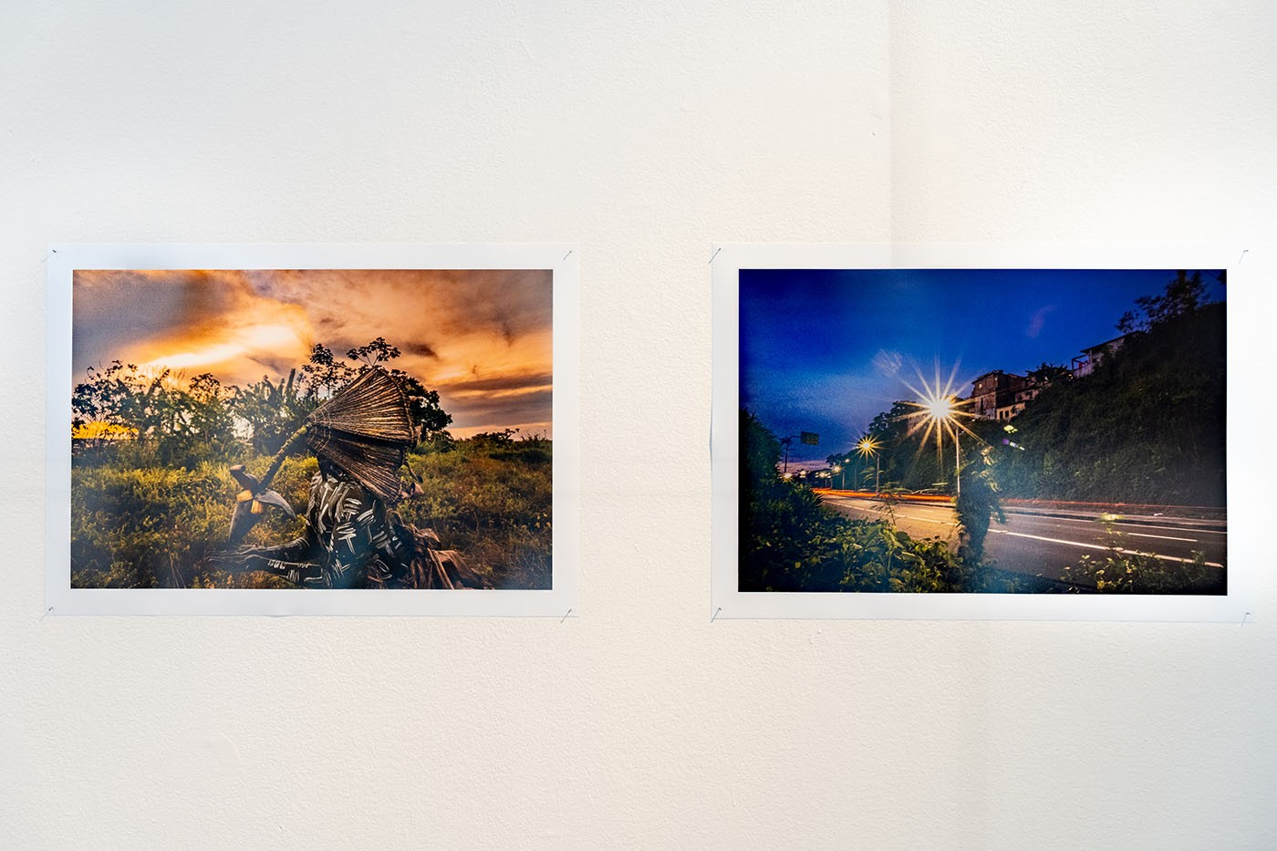 Installation view of Memórias de Alagamento by Uýra, at the Museum of Modern Art in Bogotá. Photo: Juan Yaruro. Courtesy of MAMBO.