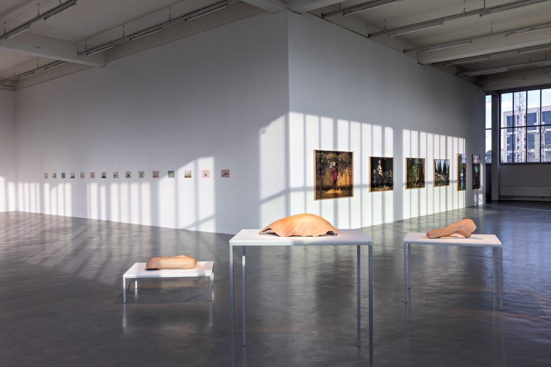 Not Fully Human, Not Human at All, installation view, Kunstverein in Hamburg, 2020, Photo: Fred Dott