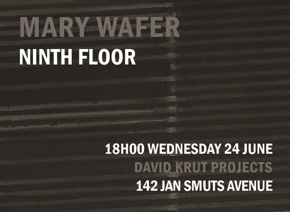 NINTH FLOOR: NEW WORKS BY MARY WAFER