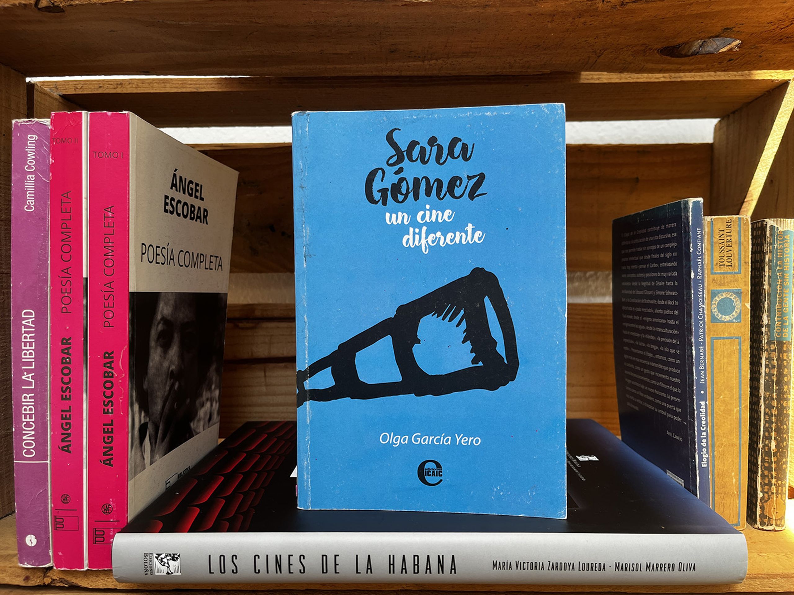 SARA GÓMEZ:. UN CINE DIFERENTE, by Olga García Yero (Habana, 2017). Photo: Mónica María Oberschelp Garabito