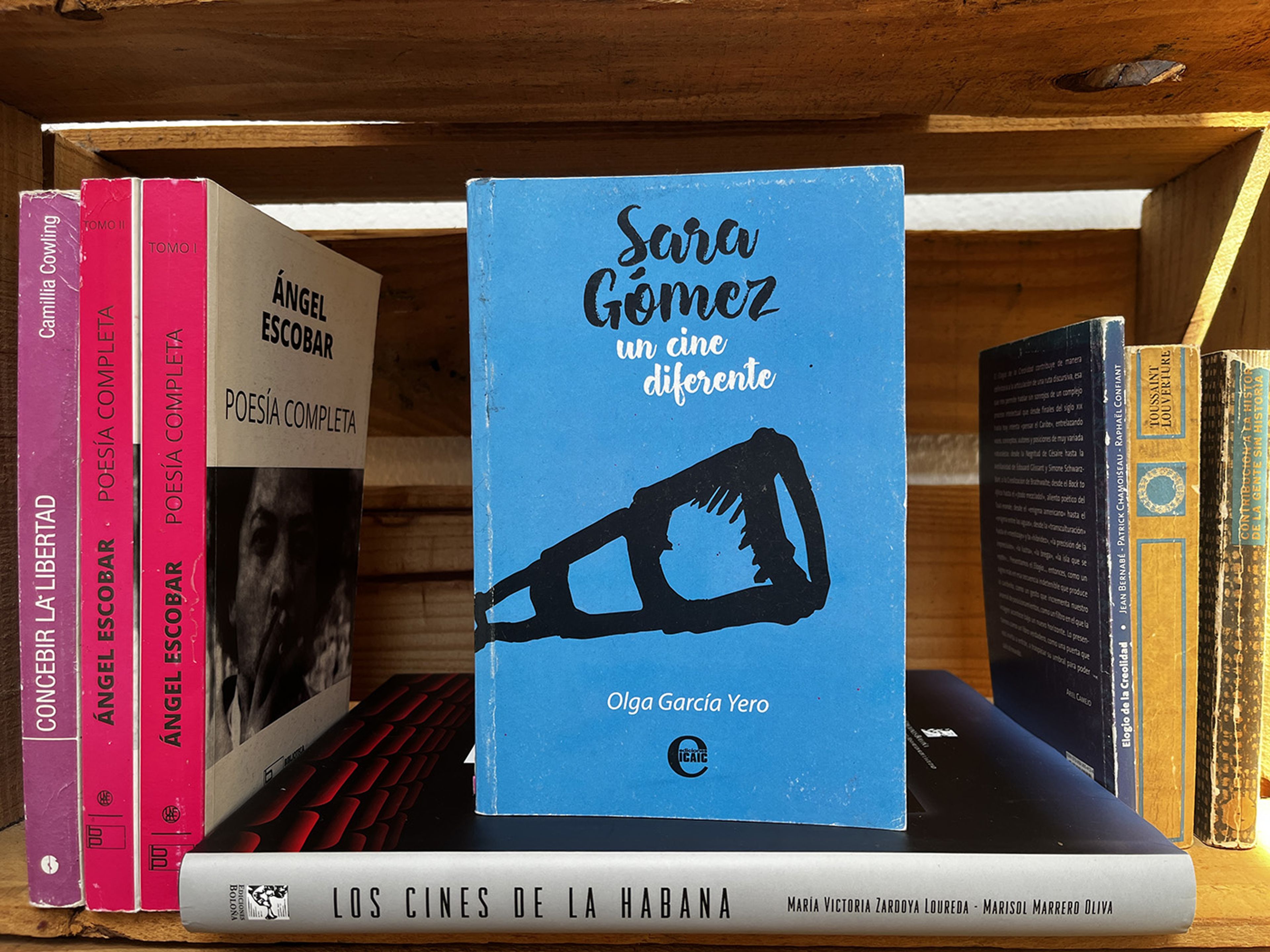 SARA GÓMEZ:. UN CINE DIFERENTE, by Olga García Yero (Habana, 2017). Photo: Mónica María Oberschelp Garabito