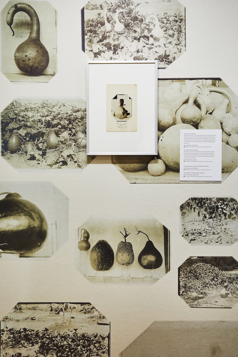 AMANI kukita | kung‘oa © Museen Stade, Photo: Carsten Dammann