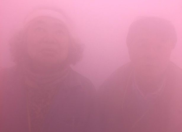 Curating The International Diaspora: “Is the Curator an Agent or Double Agent of Cultural Identity?”