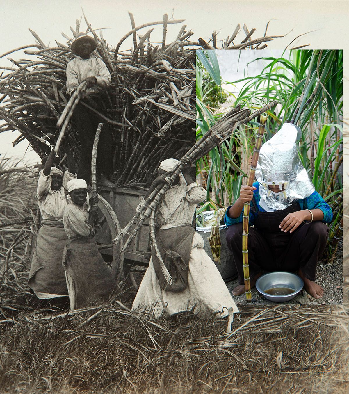 “Sobreposição da história” (Overlapping history). Performer Kerolayne Kemblin, sugarcane plantation in Lindeia, Minas Gerais, Brazil (2019).