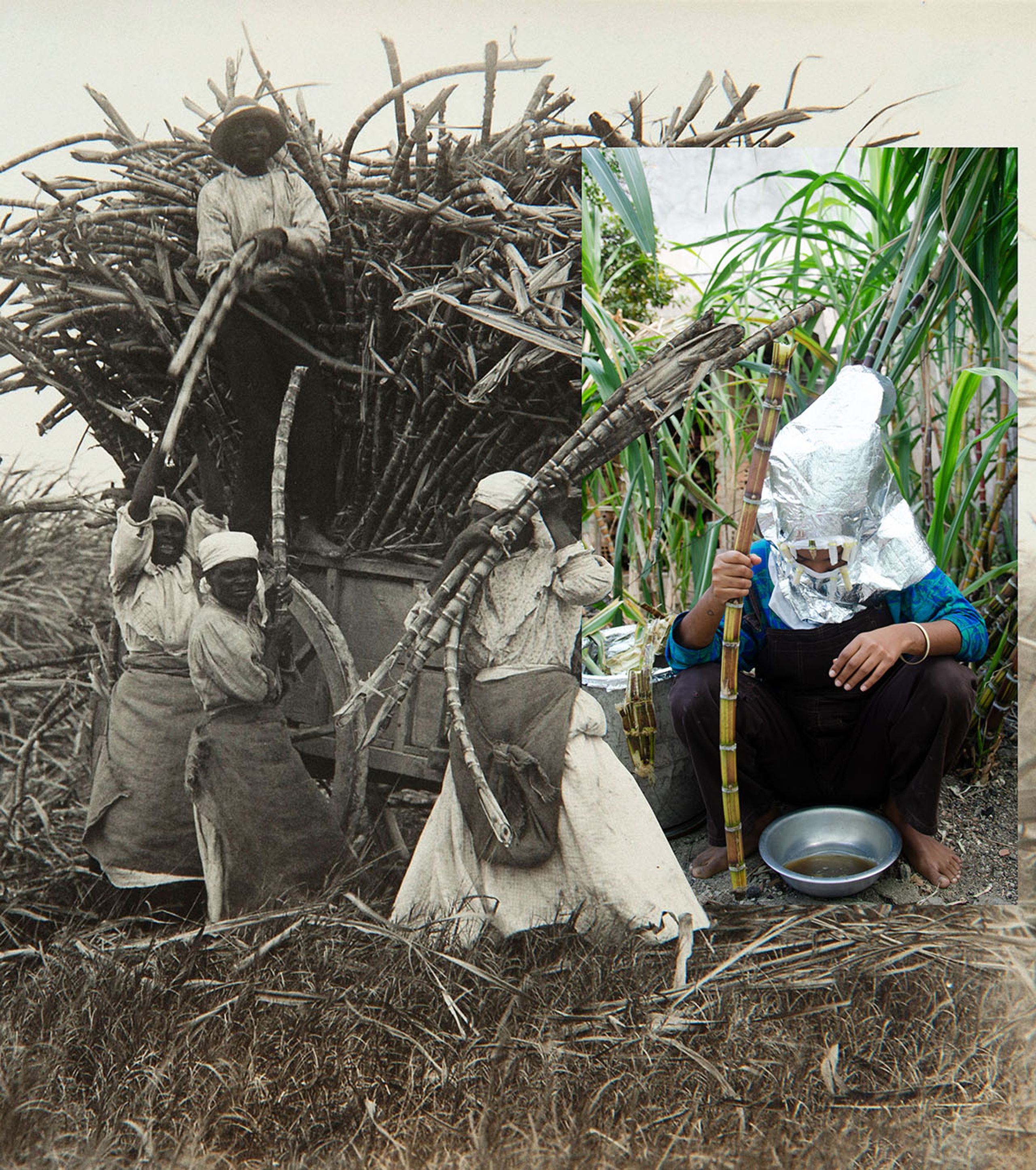 “Sobreposição da história” (Overlapping history). Performer Kerolayne Kemblin, sugarcane plantation in Lindeia, Minas Gerais, Brazil (2019).