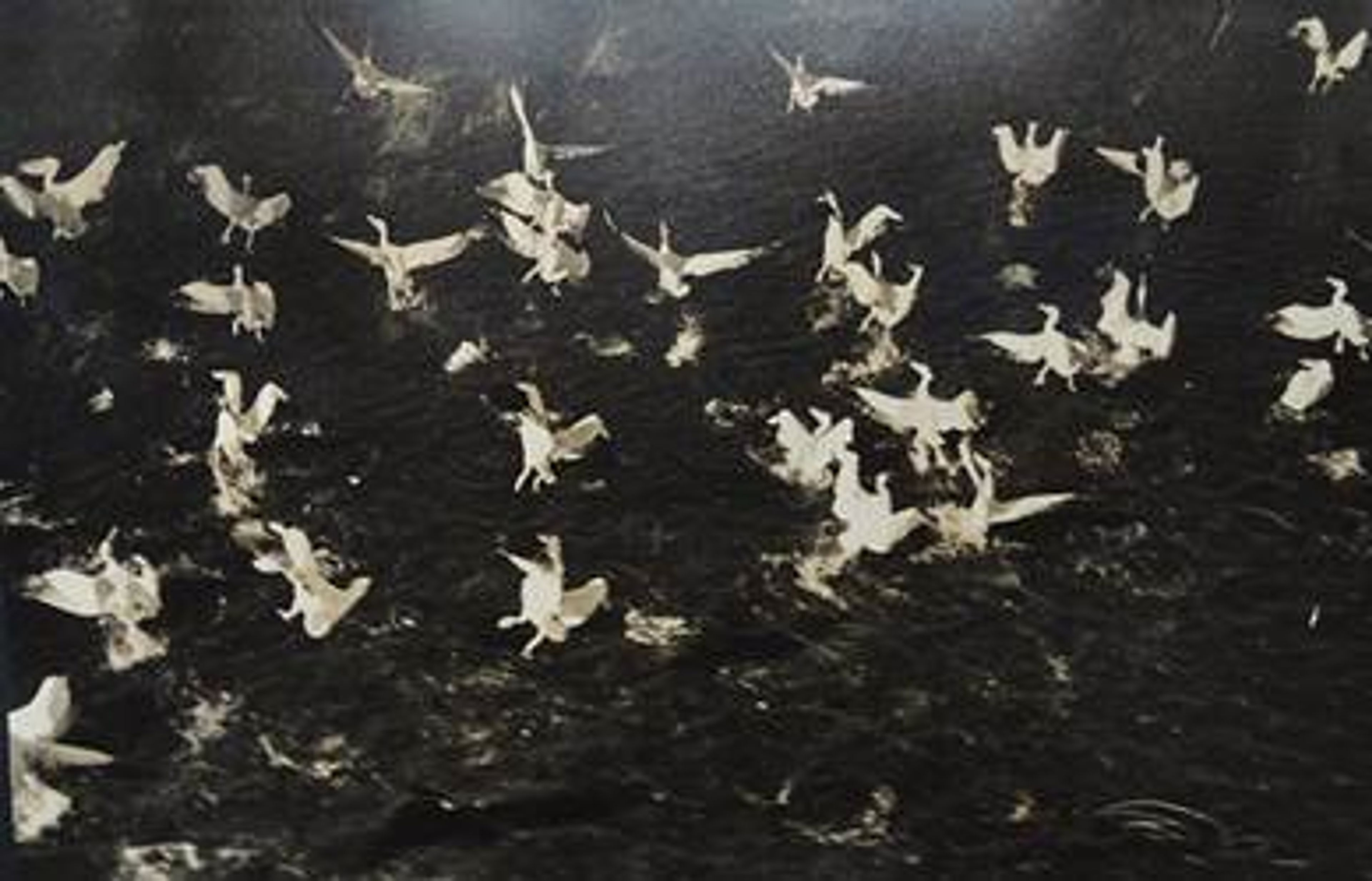 Nesting Narratives