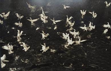 Nesting Narratives