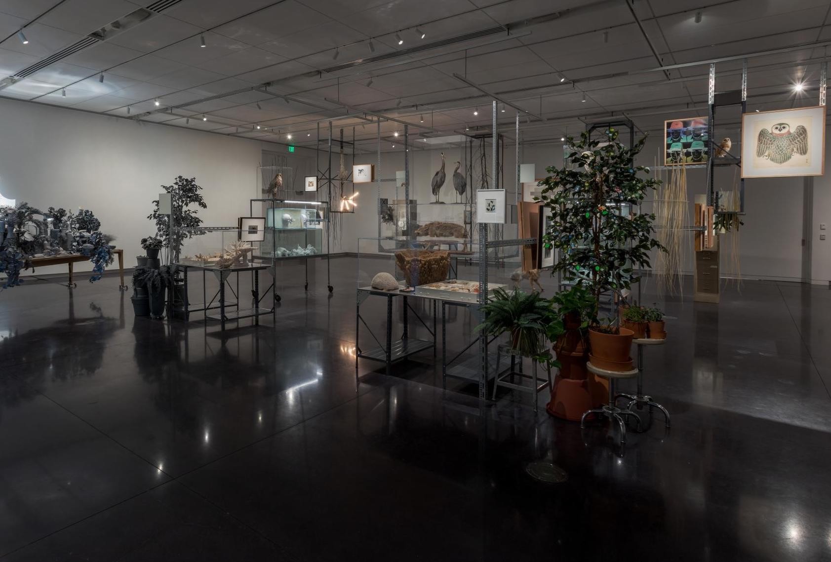 Artist-In-Residence Program