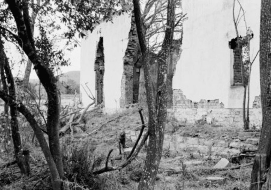 Arles in Black - Contemporary And