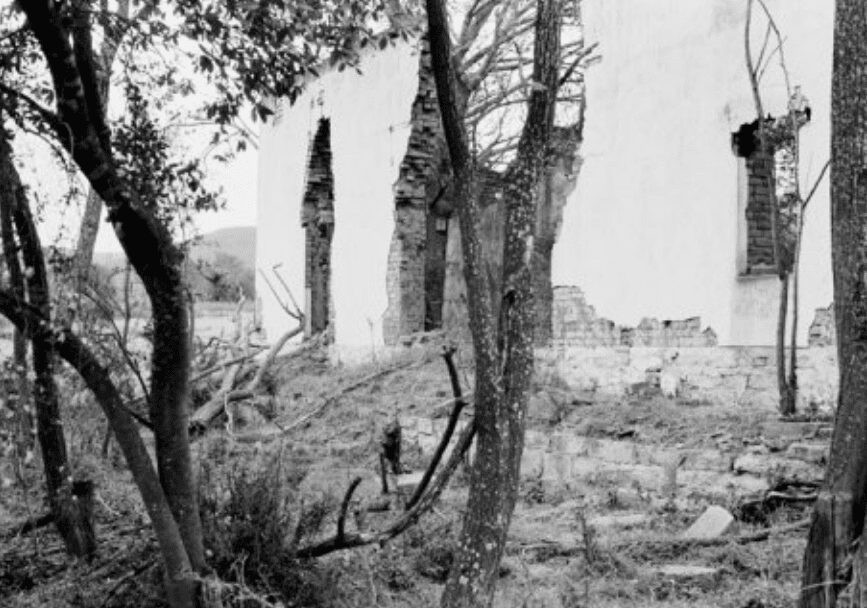 Arles in Black - Contemporary And