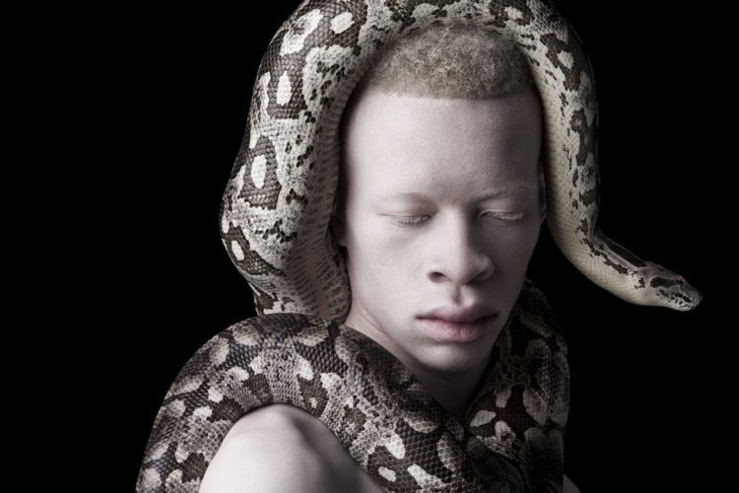 Justin Dingwall : Albus