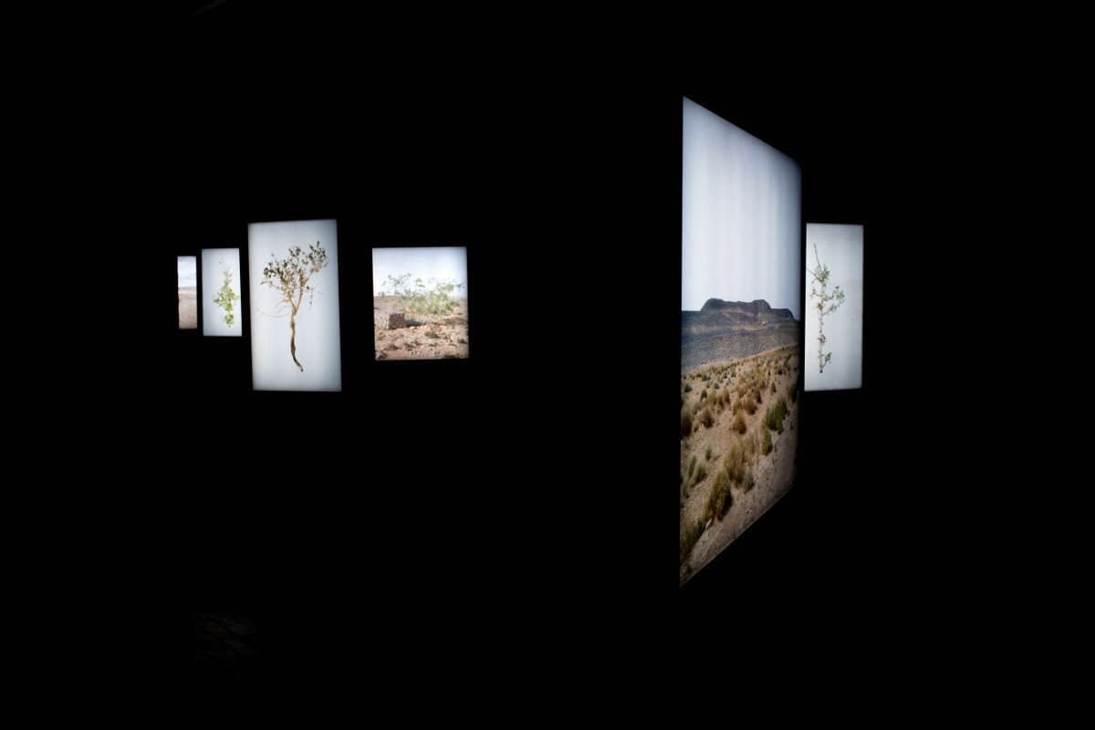 Abdessamad El Montassir: Surgir des cendres