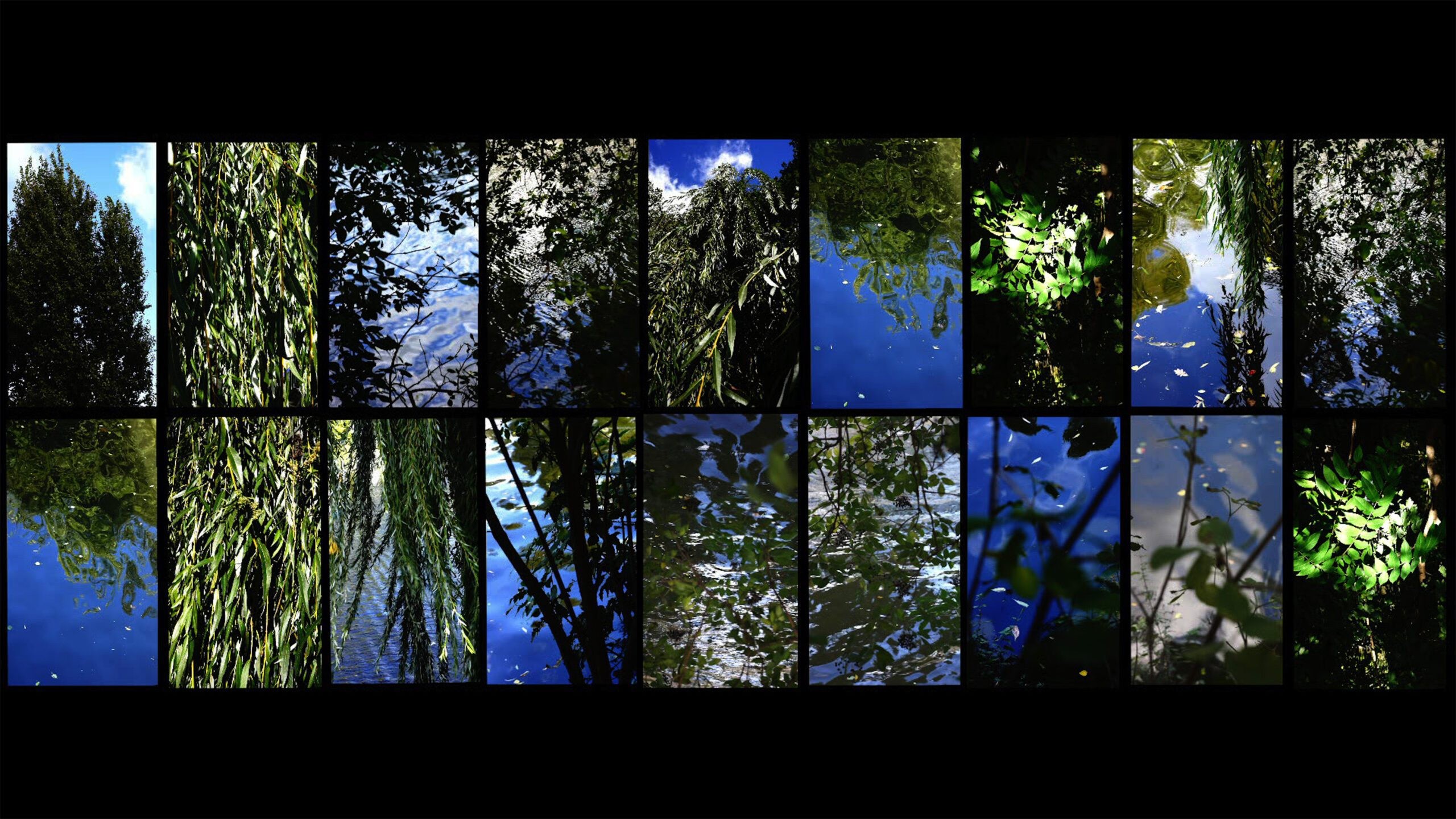 What is Home? - Contemporary And