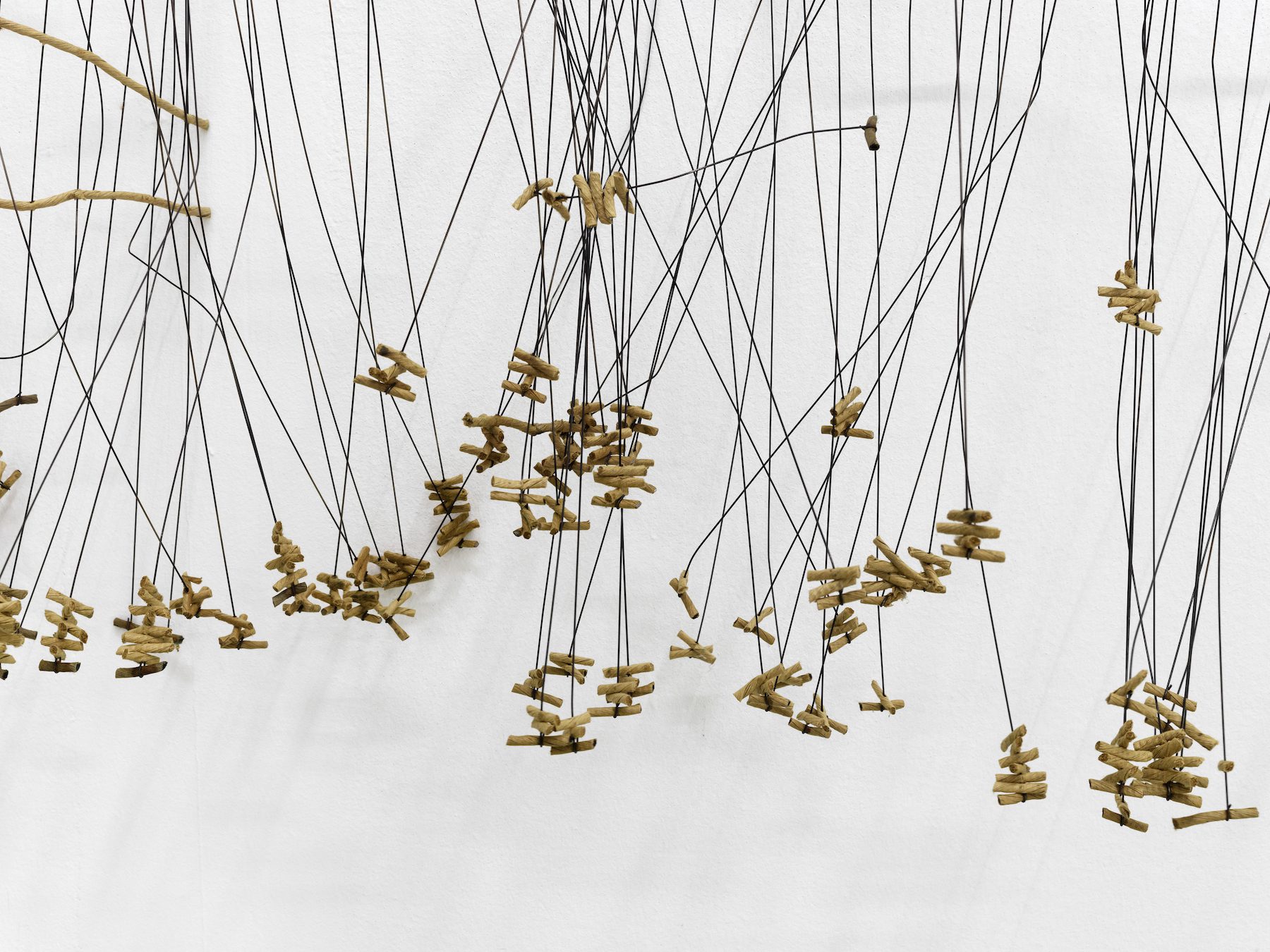 Bronwyn Katz : A Silent Line, Lives Here