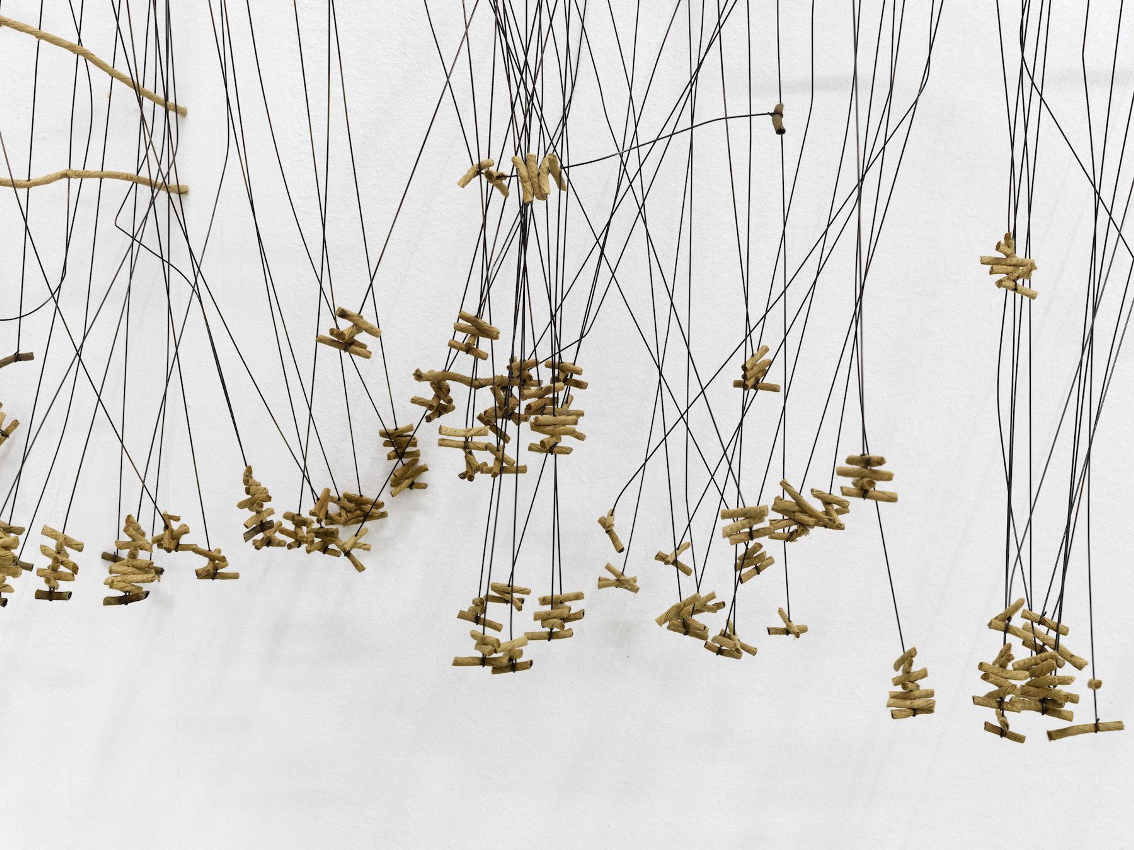 Bronwyn Katz : A Silent Line, Lives Here