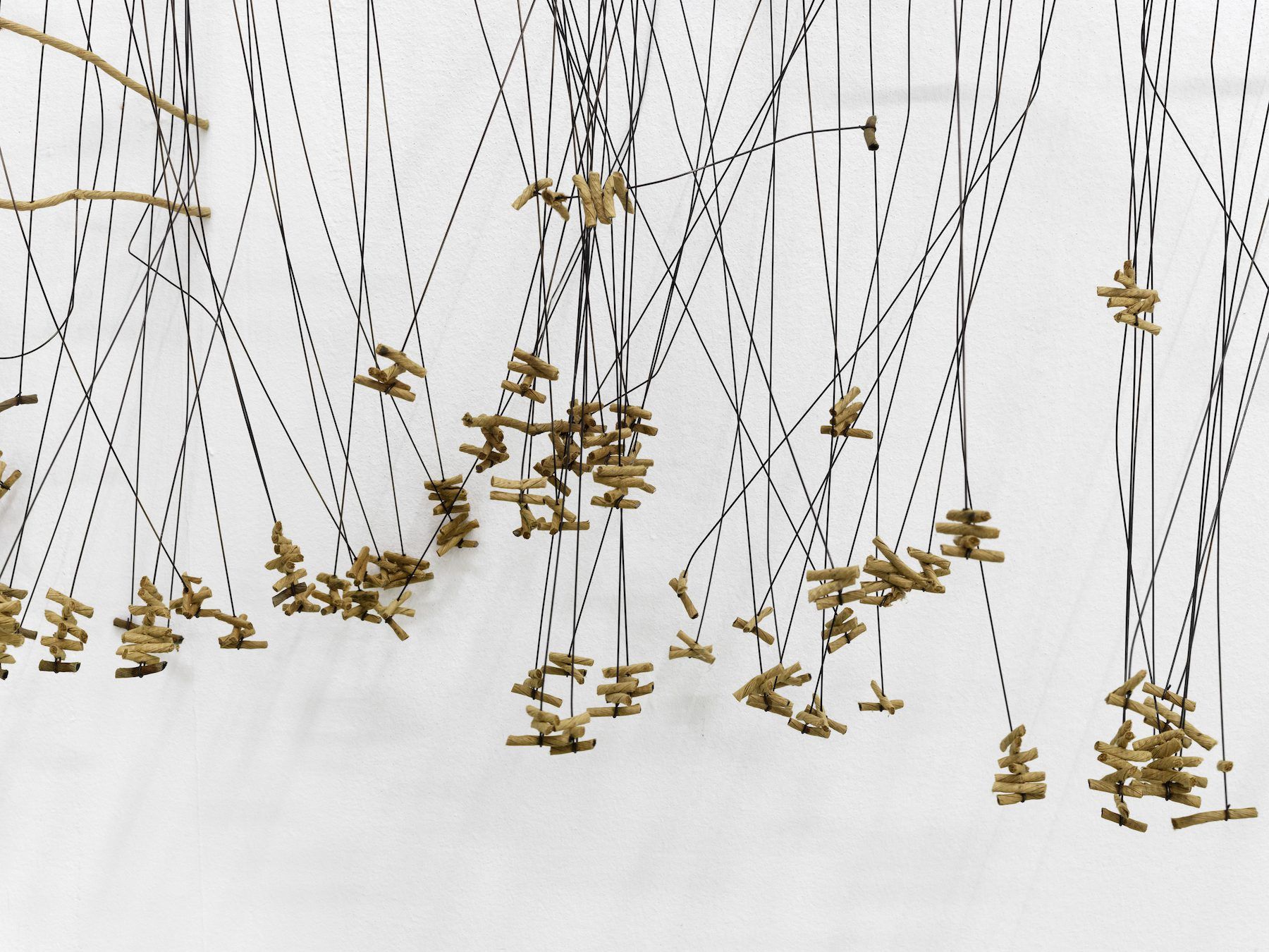 Bronwyn Katz : A Silent Line, Lives Here