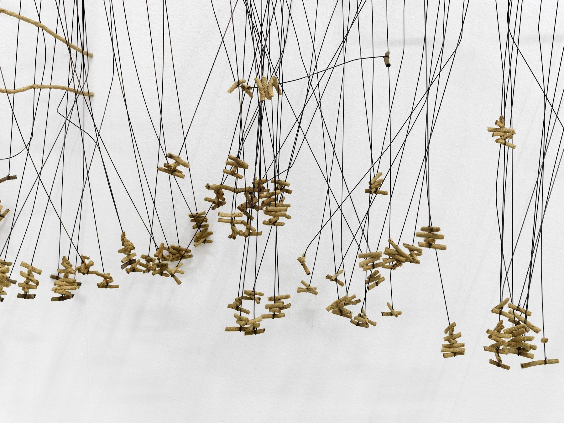 Bronwyn Katz : A Silent Line, Lives Here