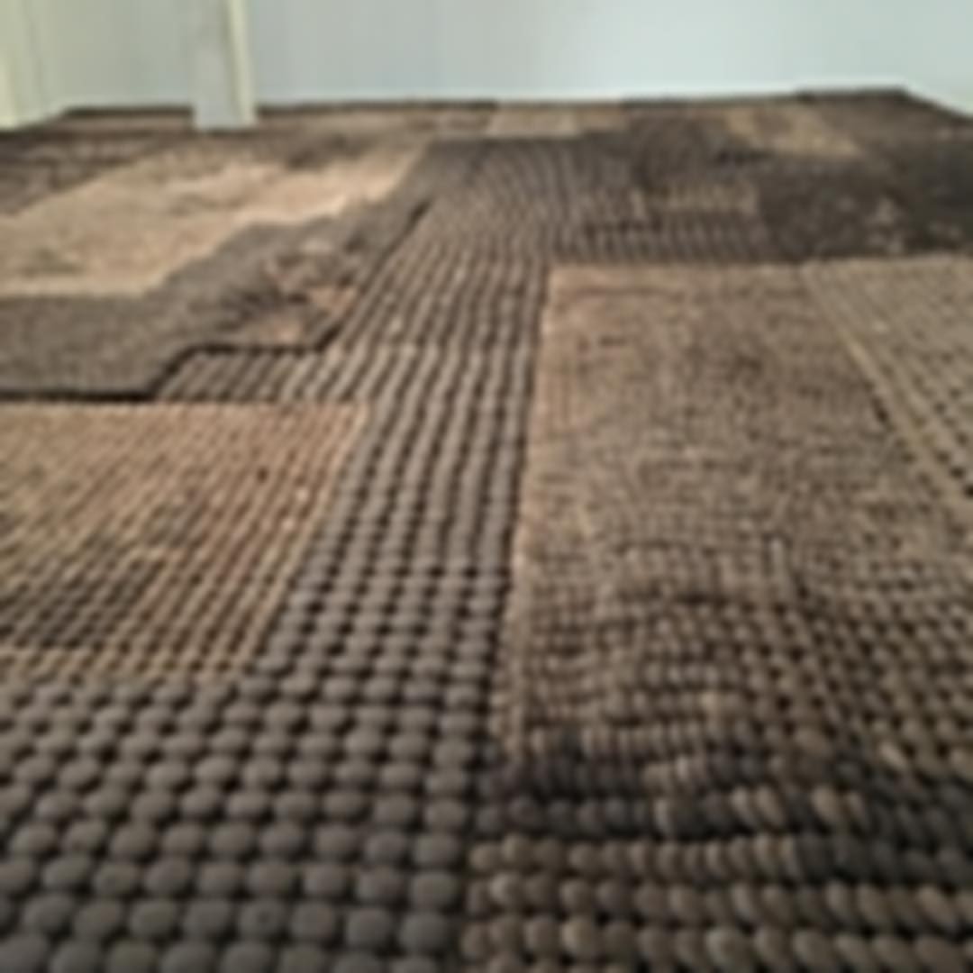 Enie, un proyecto de Delcy Morelos