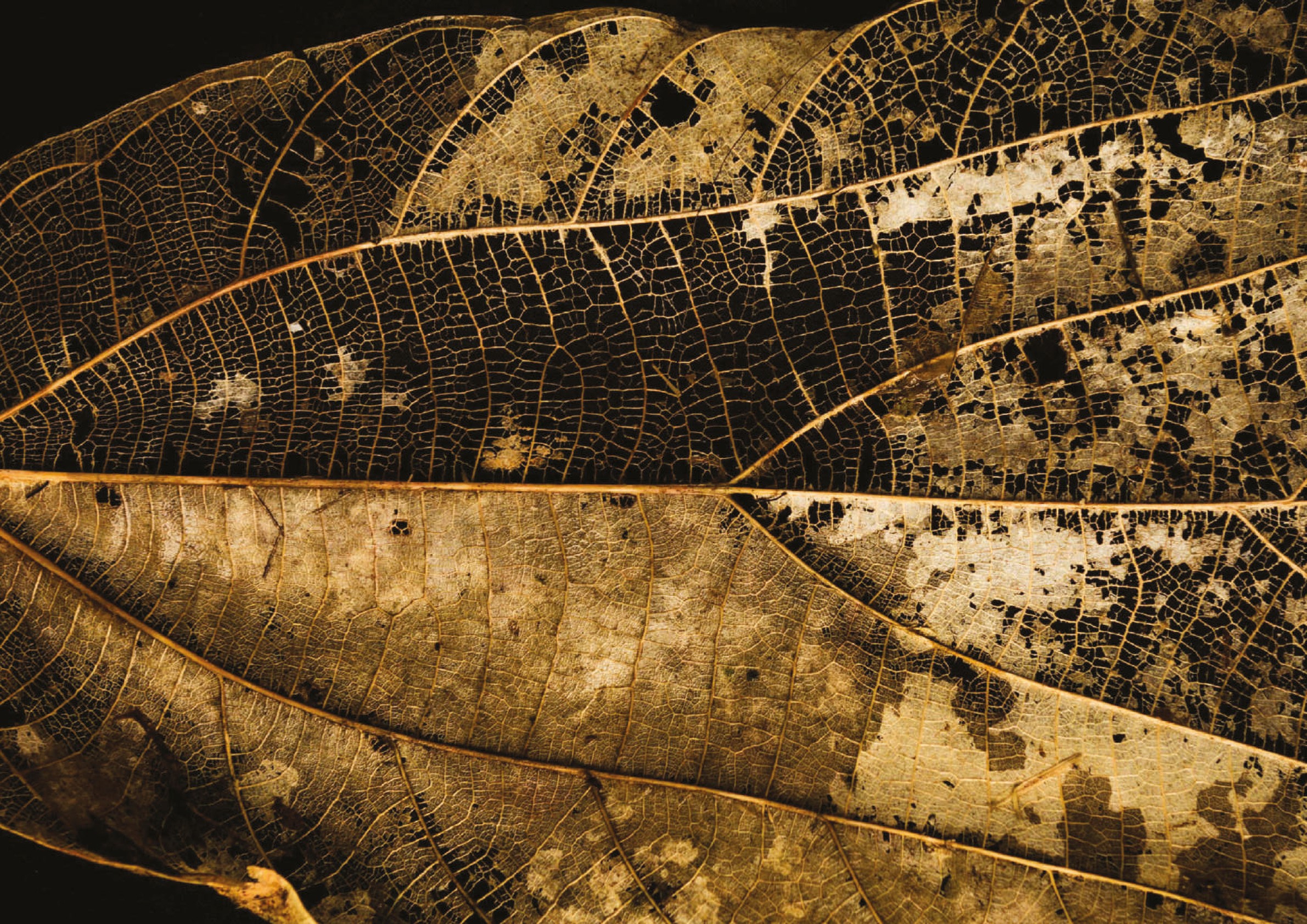 #weavingnetworks with Más Arte Más Accíon