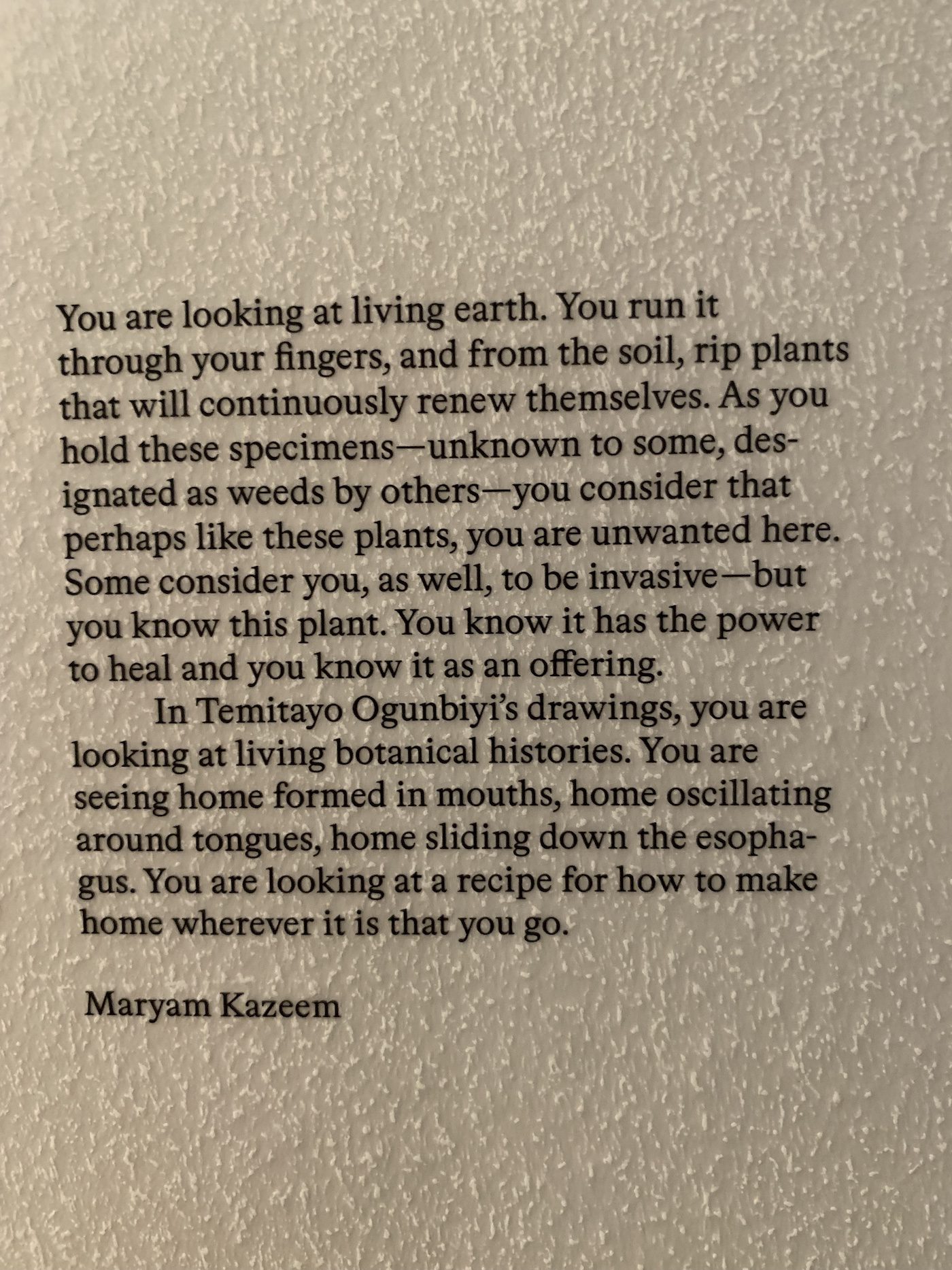 Temitayo Ogunbiyi, You will order taxonomies according to your day, 2021-2022. Installation View at 12th Berlin Biennale, Akademie der Künste, Hanseatenweg. Photo: C&amp;