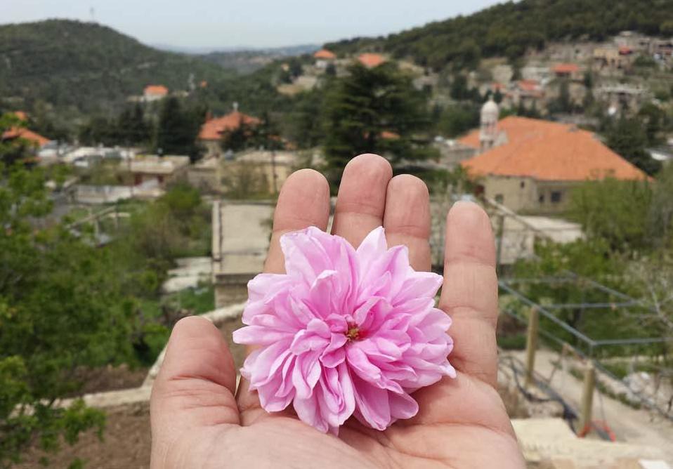 Kader Attia: Contre Nature