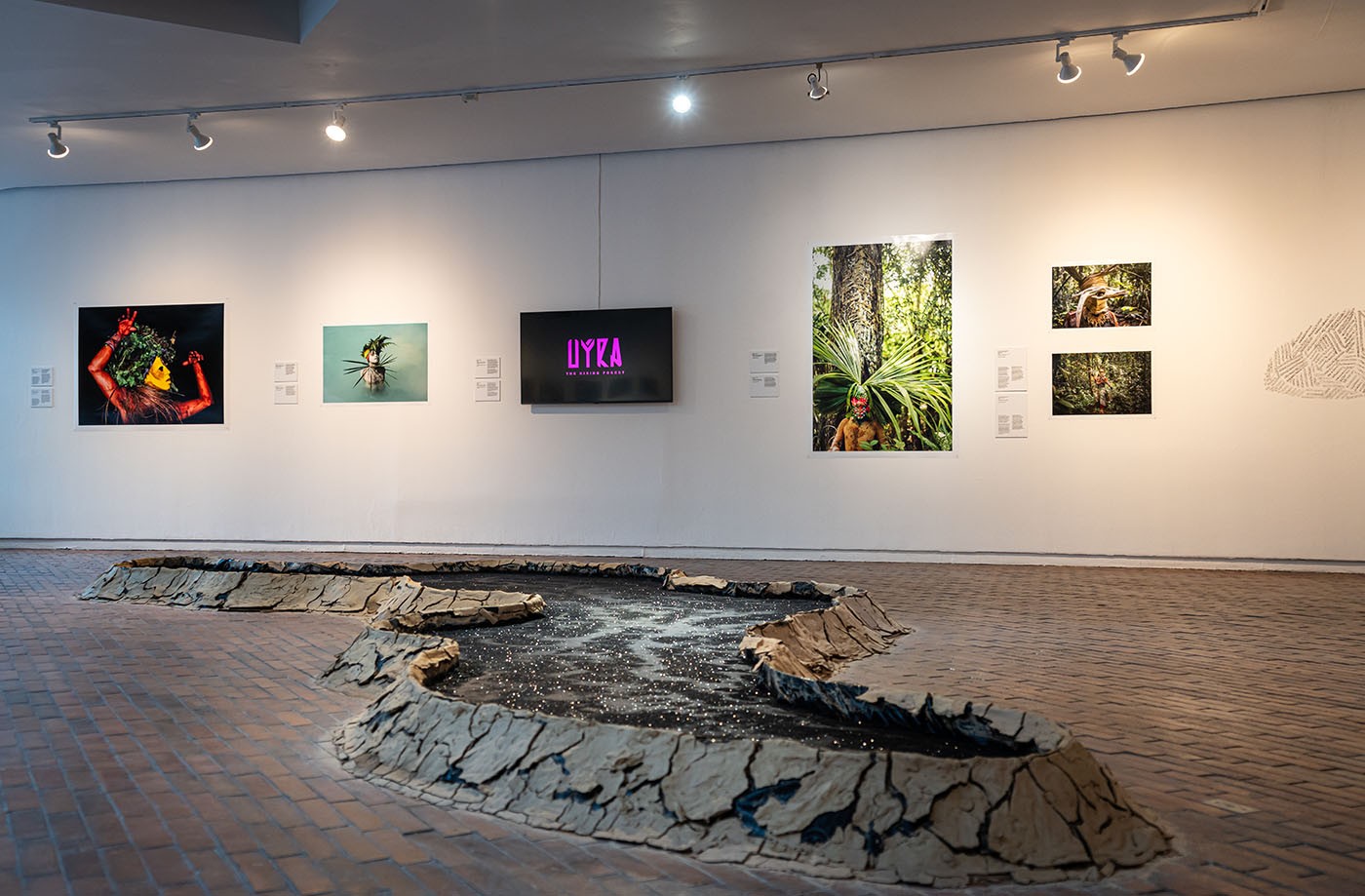 Installation view of Memórias de Alagamento by Uýra, at the Museum of Modern Art in Bogotá. Photo: Juan Yaruro. Courtesy of MAMBO.