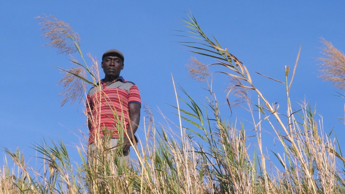 History is not the Past – Film series