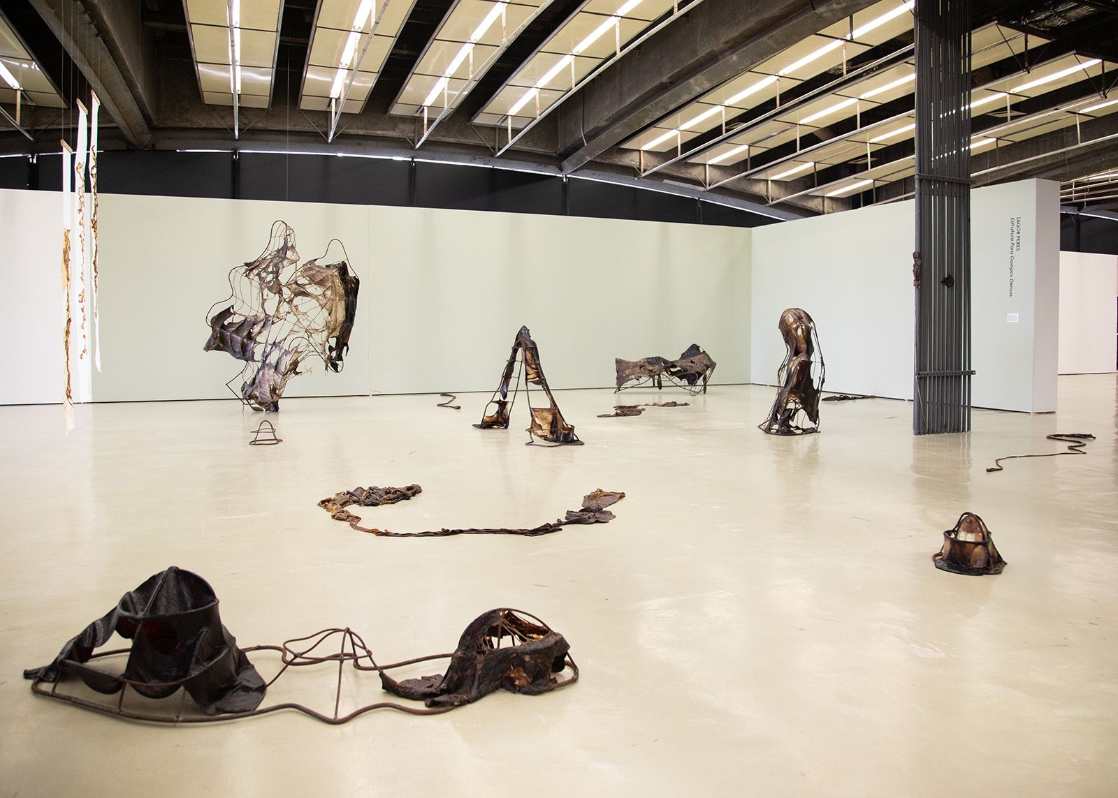 Iagor Peres and the Mixing of Different Artistic Languages