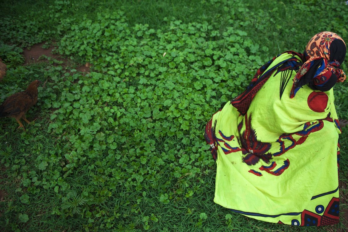 Addis Calling – Group Show