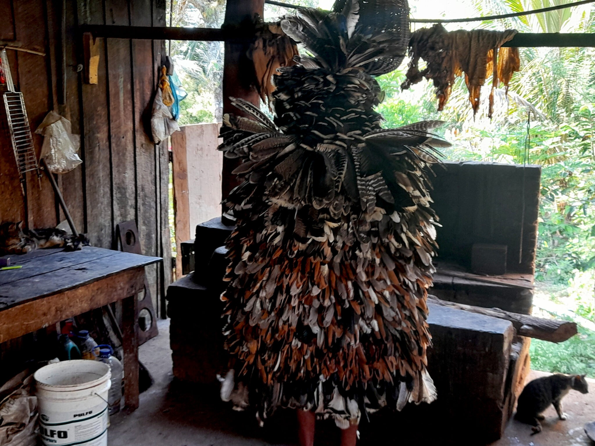 Essa é a grande volta do manto tupinambá