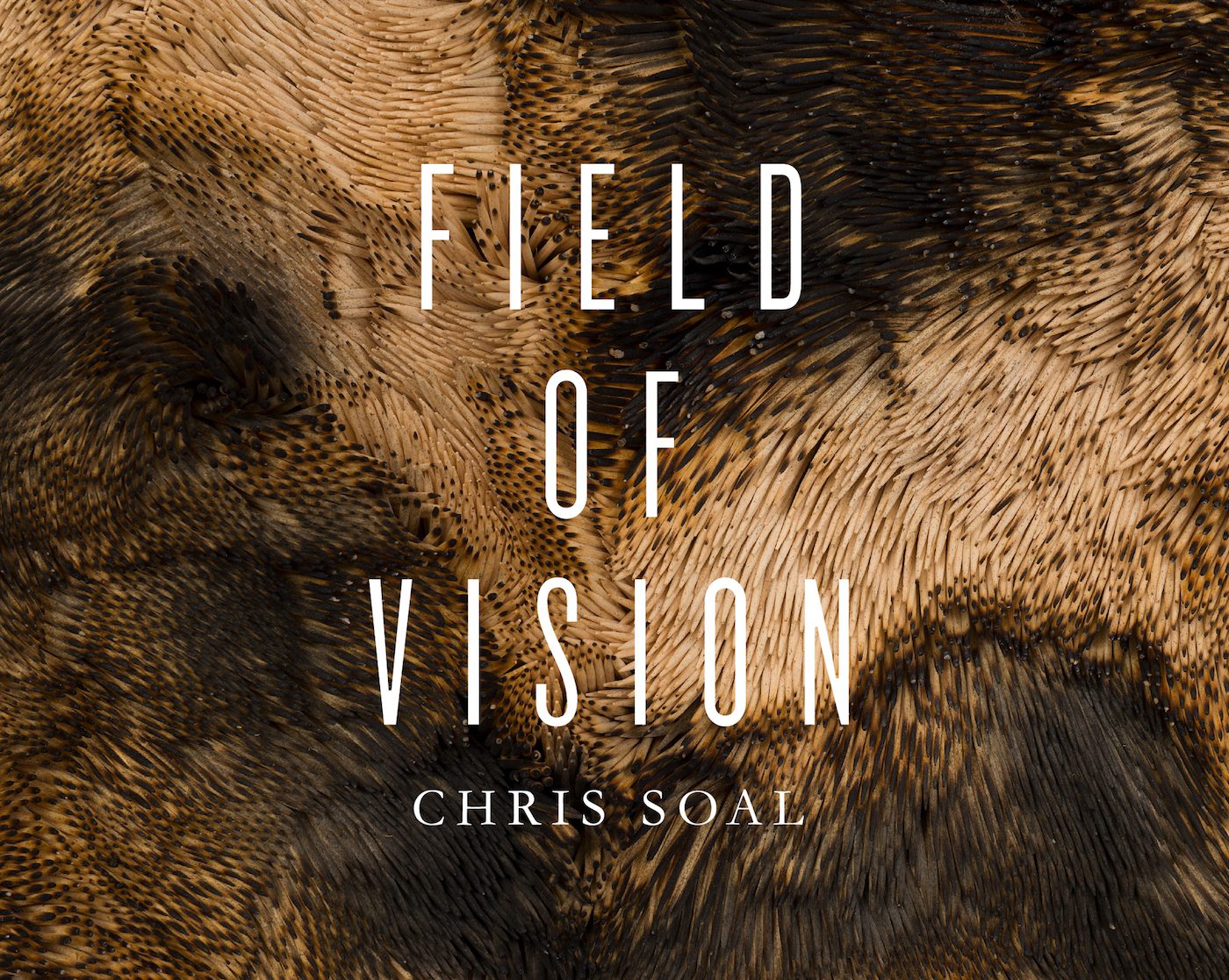Chris Soal: Field of Vision