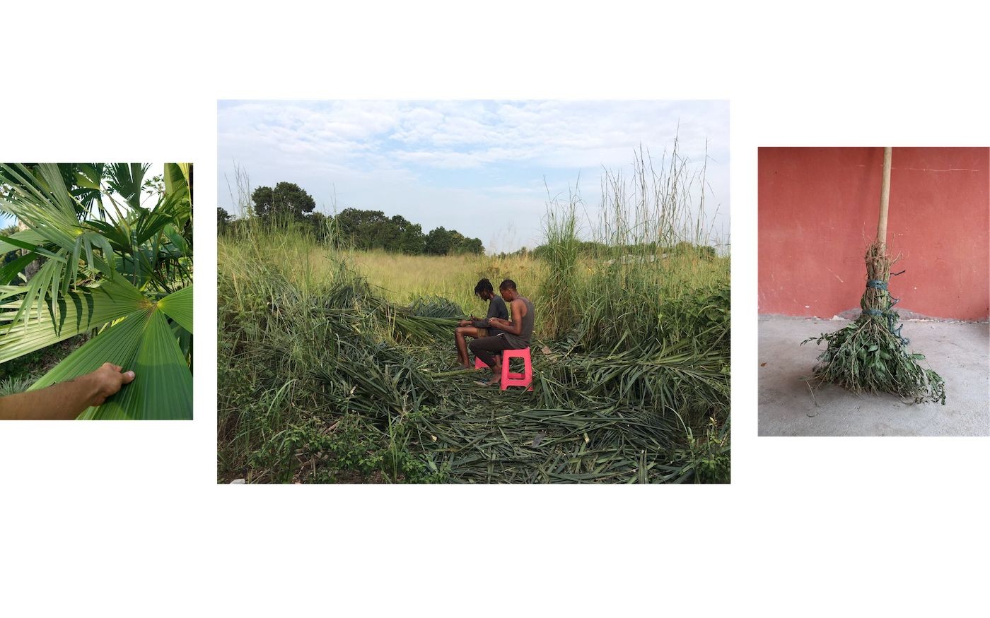 An Intertropical Web of Networks