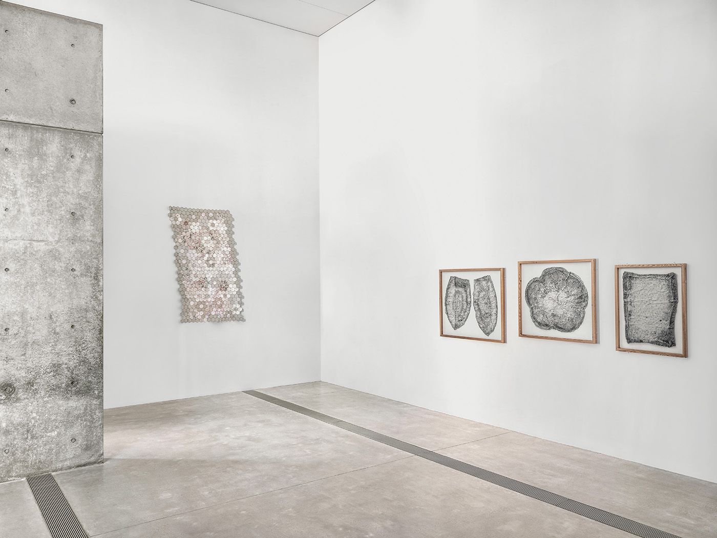 Installation view of Veronica Ryan: Unruly Objects at the Pulitzer Arts Foundation, March 7–July 27, 2025. © Veronica Ryan, OBE, Photograph by Alise O'Brien Photography. © Pulitzer Arts Foundation and Alise O’Brien Photography