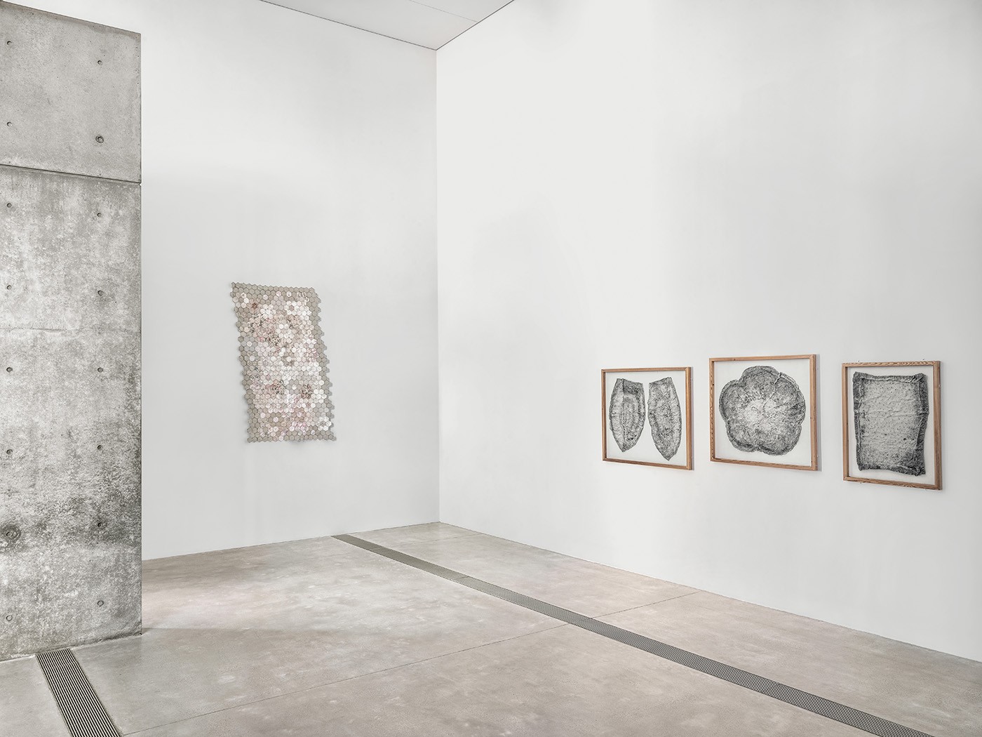 Installation view of Veronica Ryan: Unruly Objects at the Pulitzer Arts Foundation, March 7–July 27, 2025. © Veronica Ryan, OBE, Photograph by Alise O'Brien Photography. © Pulitzer Arts Foundation and Alise O’Brien Photography