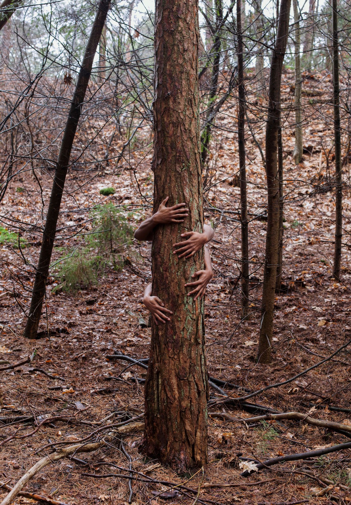 Kevin Osepa, Kada palu tin su doño, from the series ‘Mester Blousé’, 2017. Courtesy the artist.