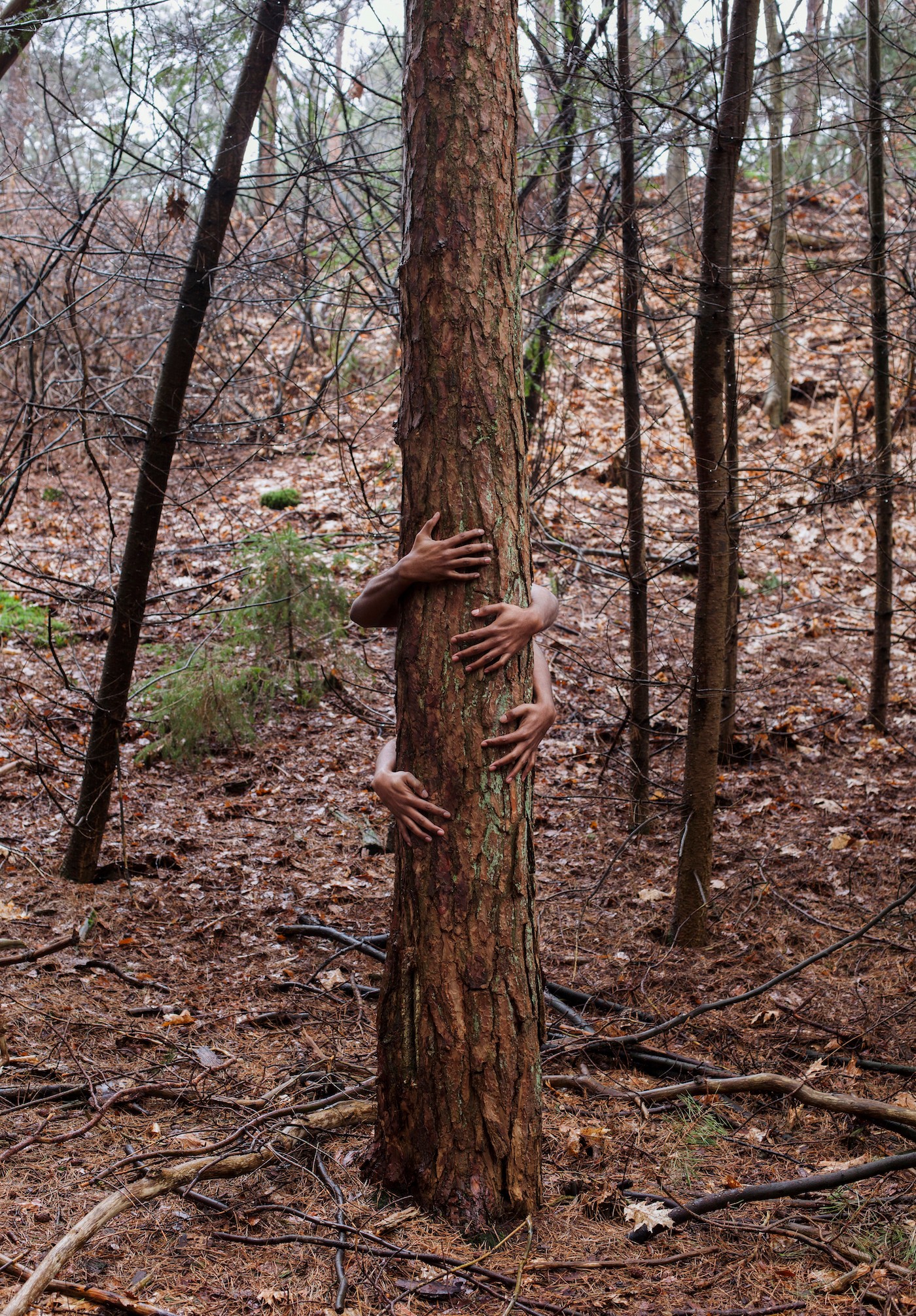 Kevin Osepa, Kada palu tin su doño, from the series ‘Mester Blousé’, 2017. Courtesy the artist.