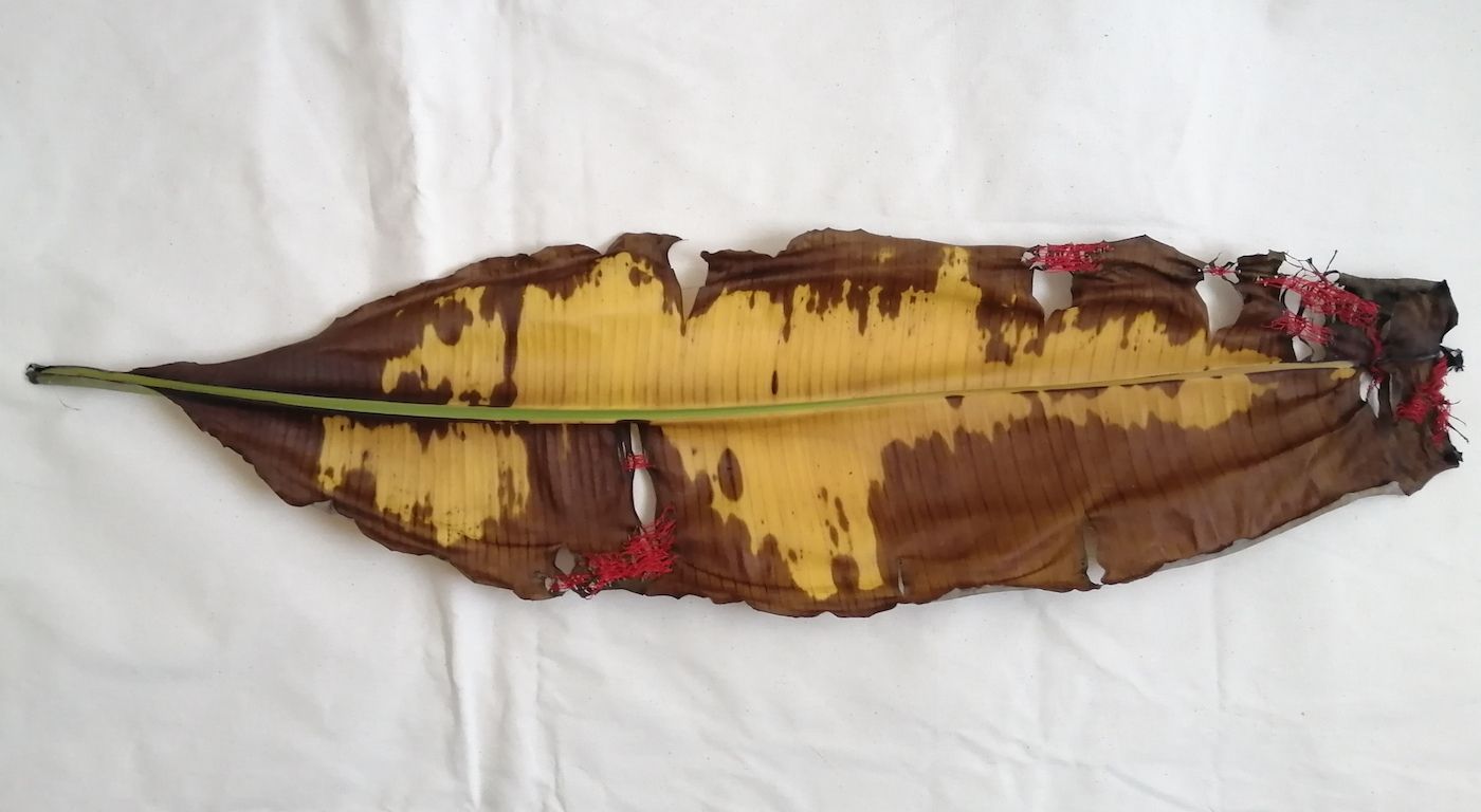 “The Ambivalence Between Seduction and Violence is an Expression of my Rejection of the System”