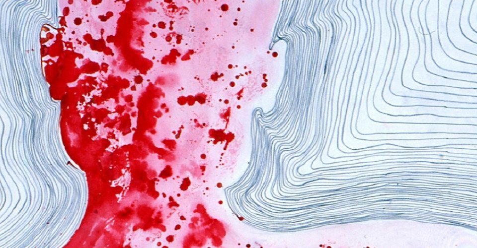 Craving for Humanity: The World of Barthélémy Toguo