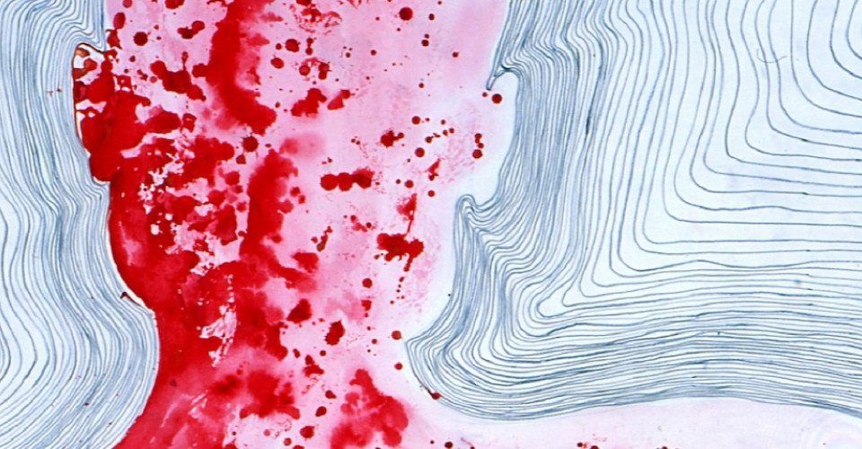 Craving for Humanity: The World of Barthélémy Toguo