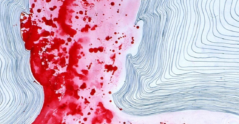 Craving for Humanity: The World of Barthélémy Toguo