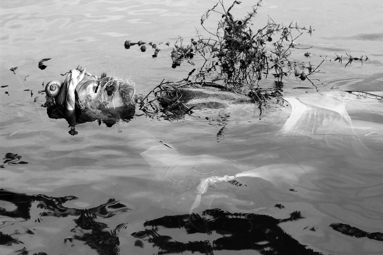 Flooded Memories