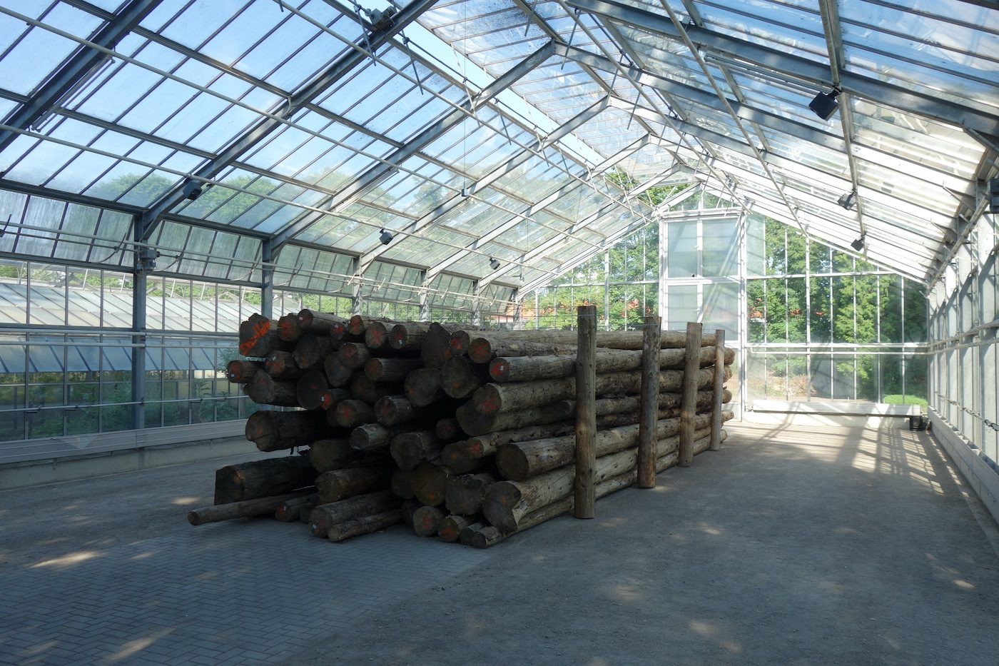 Más Arte Más Acción, Whispers of the Bark Beetles, 2022. Installation view at documenta fifteen, 2022. Photo: C&