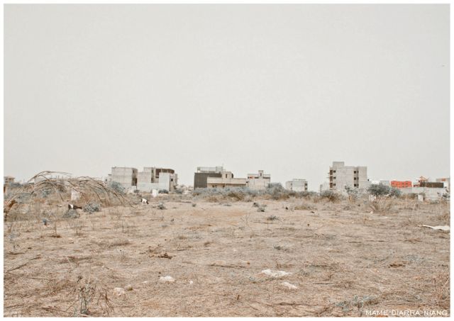 Sahel Gris © Mame-Diarra Niang