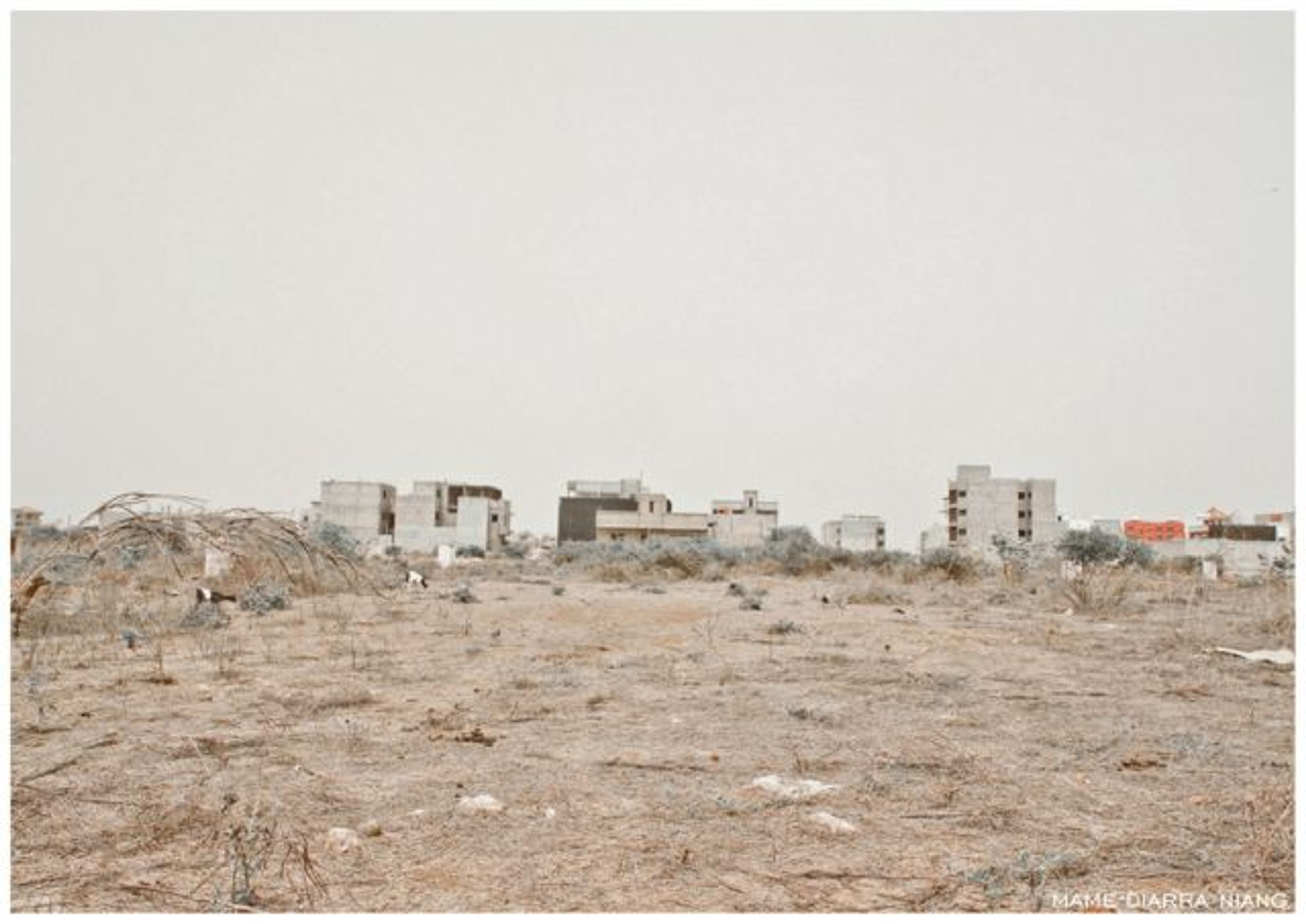 Sahel Gris © Mame-Diarra Niang